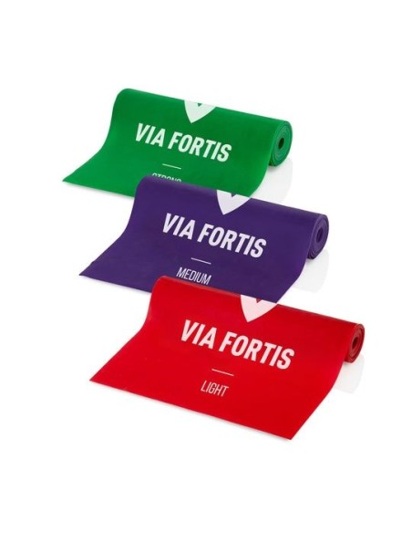 Fitness Band Set de 3 bandas de entrenamiento (Via Fortis)