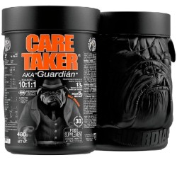 Caretaker BCAA 10.1.1 30SERV 480G  (Zoomad Labs) 2